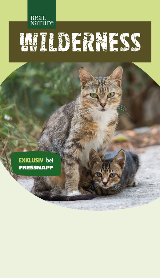 sisal fr kratzbaum Sisalseil  DIWORO