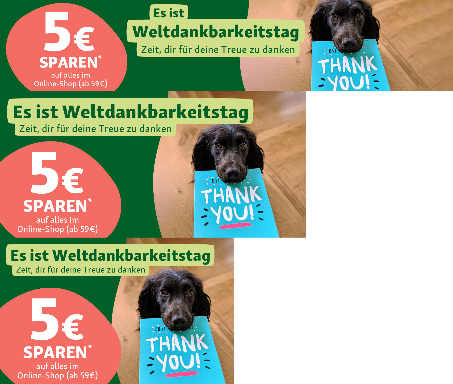 5€ Rabatt zum Weltdankbarkeitstag