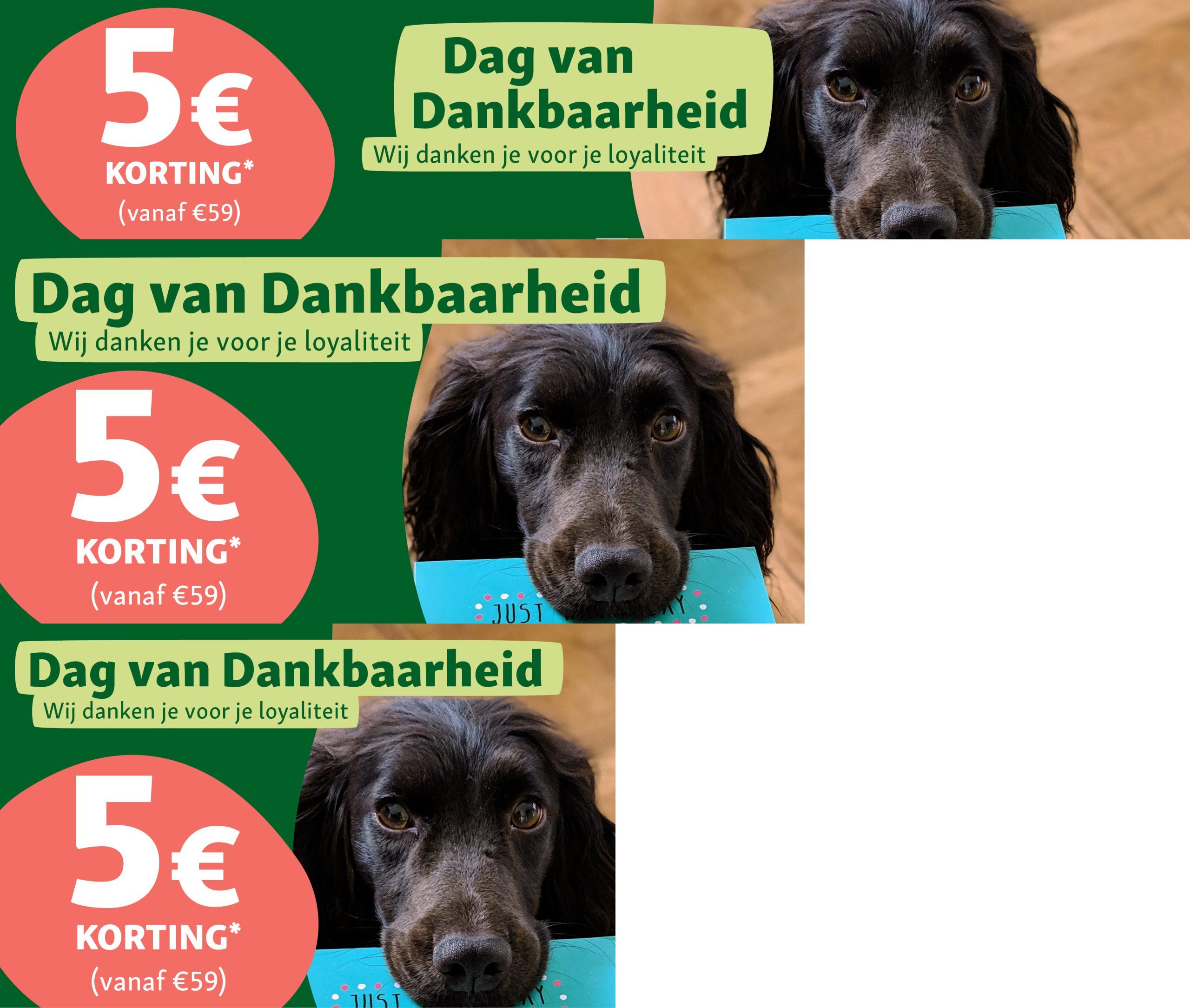 Zwarte hond houdt een blauwe kaart in zijn bek, promotie voor Dag van Dankbaarheid met 5€ korting vanaf 59€ aankoop.