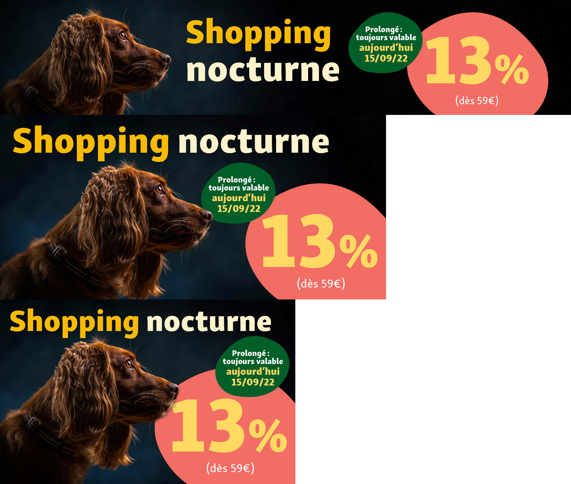 NEU FR_KW37_LateNightShopping_SG_OS.PLP Shopping nocturne