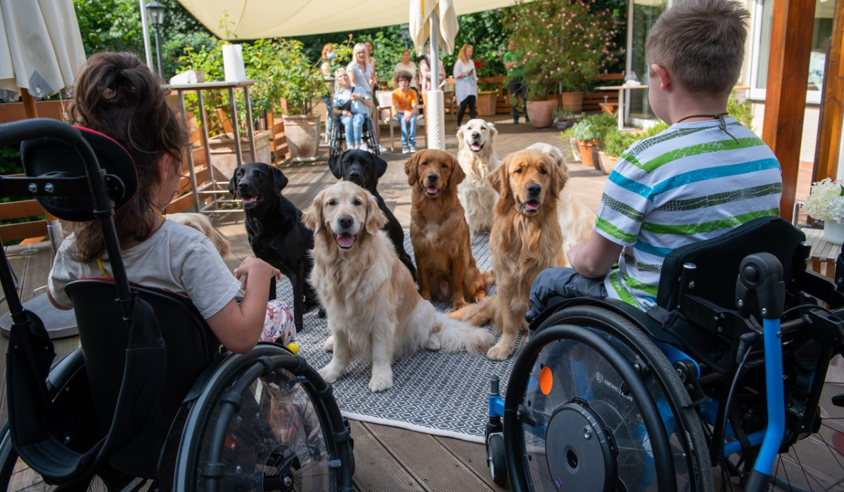 Spendenempfaenger_1 Spenden für VITA Assitenzhunde