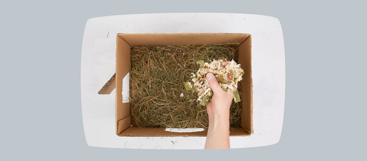 0622_Online_RATGEBER_1200x527px_DIY_Meerschweinchen_04 Hand hält Holzspäne und getrocknete Blätter in einem Karton mit Heu als natürlichem Verpackungsmaterial