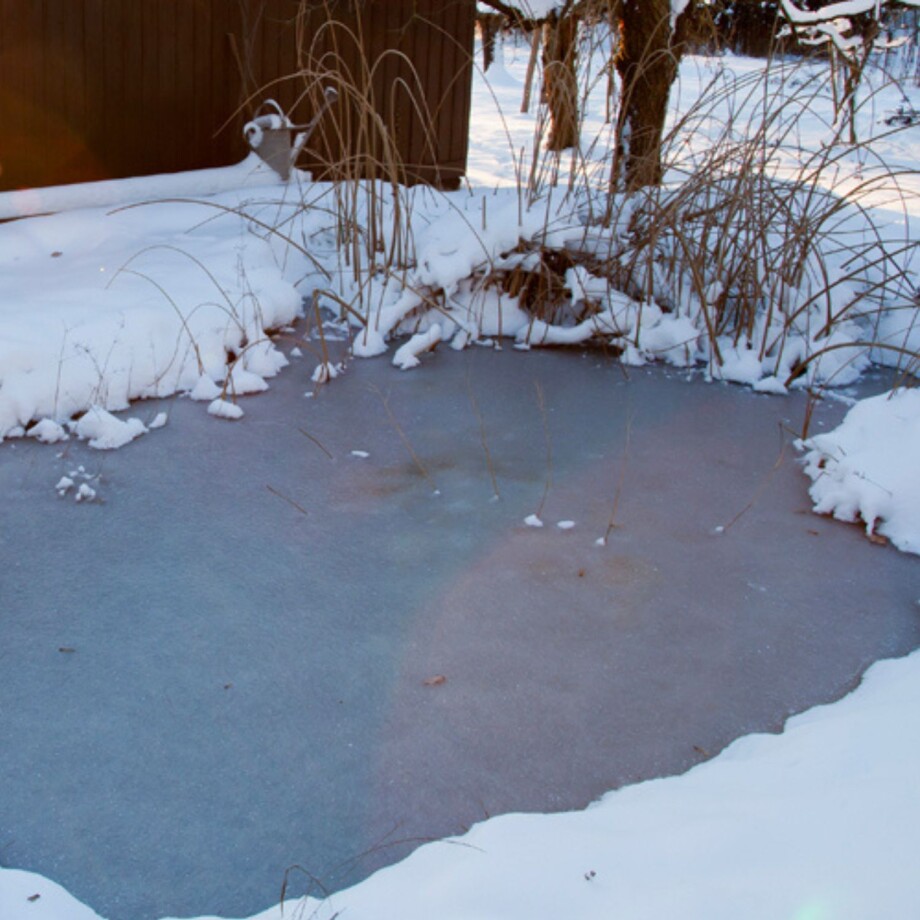 Ein zugefrorener Gartenteich