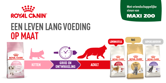 Royal Canin kattenvoer infographic toont op maat gemaakte voeding van kitten tot volwassen met speciale varianten voor levensstijl, ras en gevoeligheden.