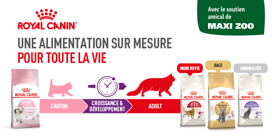 Banners_Fressnapf_6er_Cat-6347d4a649e1d