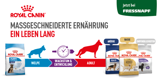 Banners_Fressnapf_6er_Dog (16)