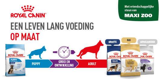 Royal Canin hondenvoer voor puppy’s en volwassen honden, voeding op maat voor groei, grootte, ras en gevoeligheden, met steun van Maxi Zoo.
