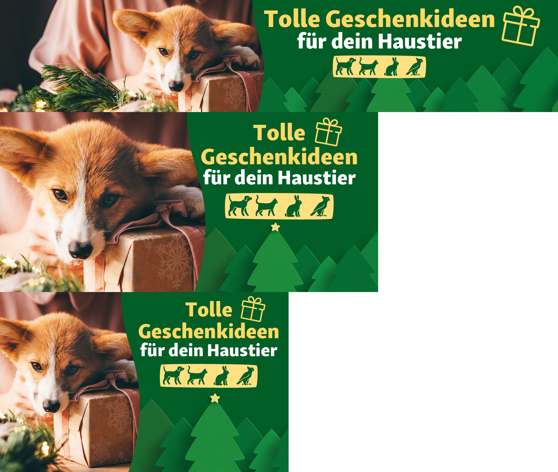 Niedlicher Welpe liegt auf Geschenkbox neben weihnachtlicher Dekoration mit Text 