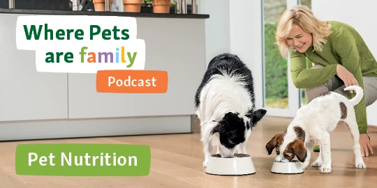 Podcast Nutrition Ireland
