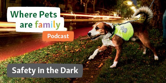 Podcast safety in the dark Ireland