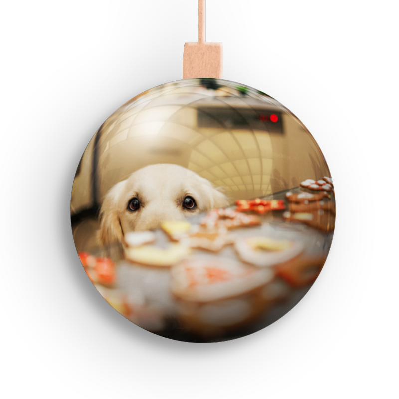 Weihnachtskugel mit Spiegelung eines neugierigen Golden Retriever Hundes, der auf einen Tisch mit dekorierten Keksen schaut