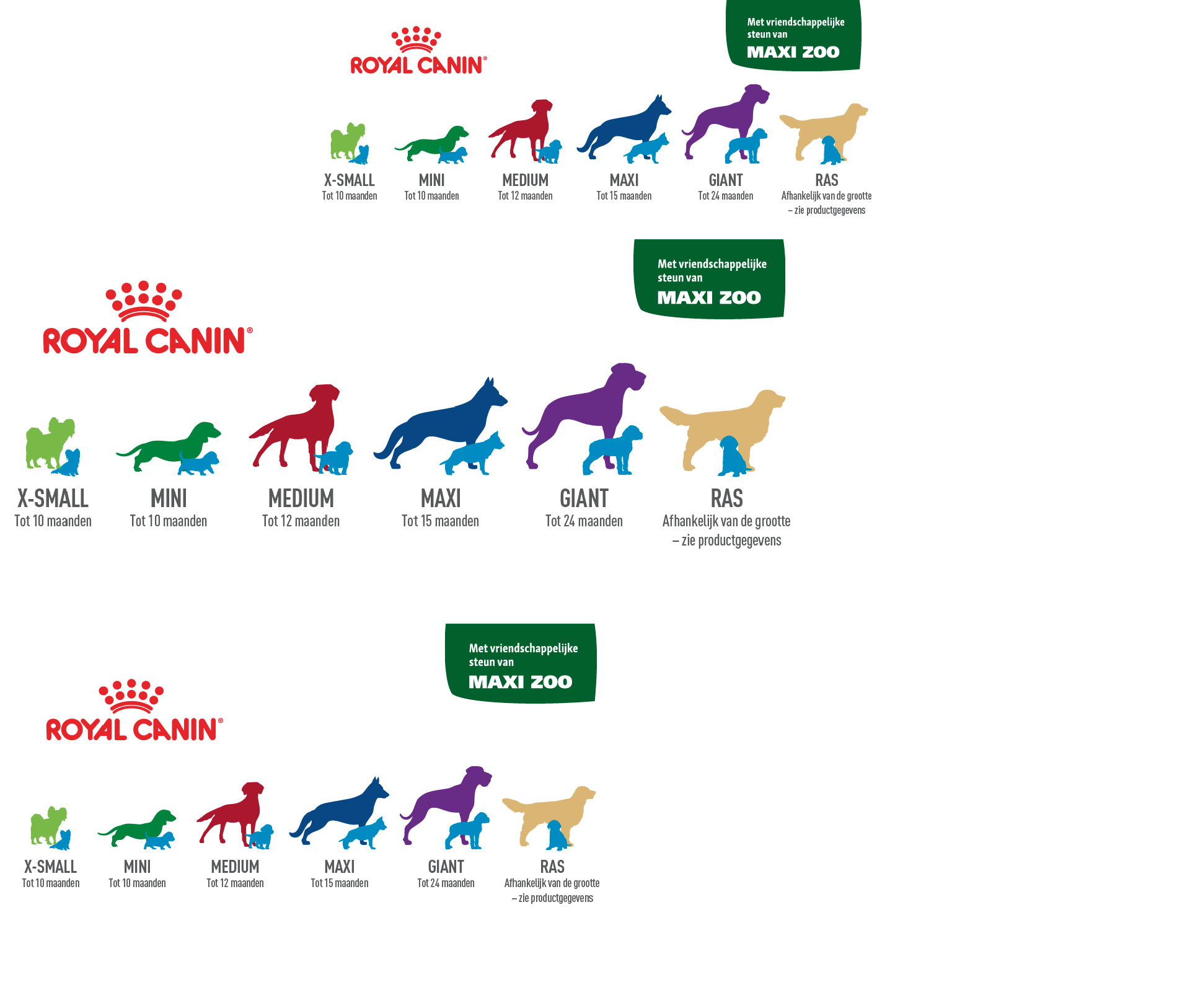 Royal Canin infographic met hondenmaten en groeiperiodes: X-Small, Mini, Medium, Maxi, Giant en Ras, met vriendelijke steun van Maxi Zoo.