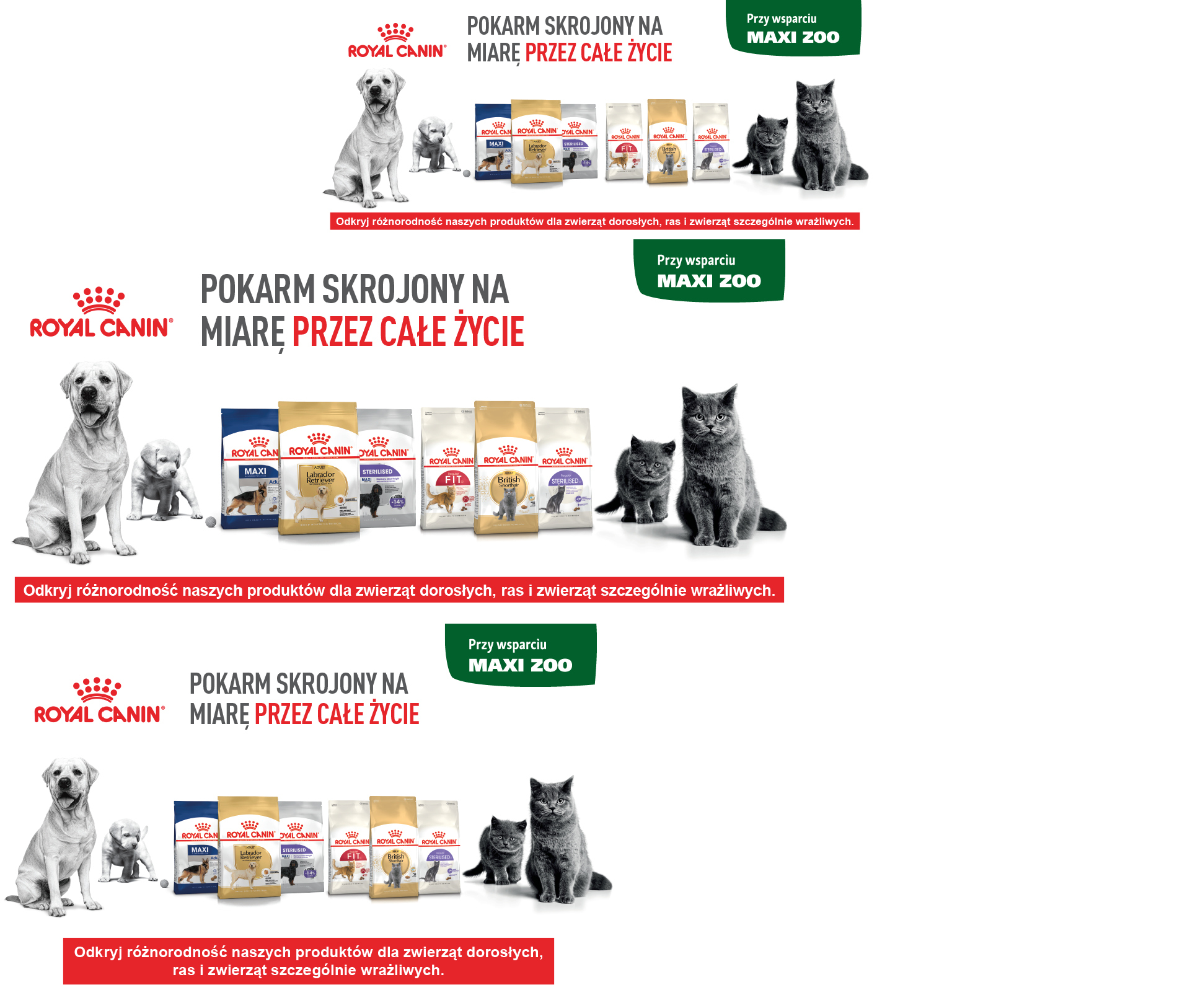 Royal Canin pokarm skrojony na miarę dla psów i kotów różnych ras i etapów życia, przy wsparciu Maxi Zoo