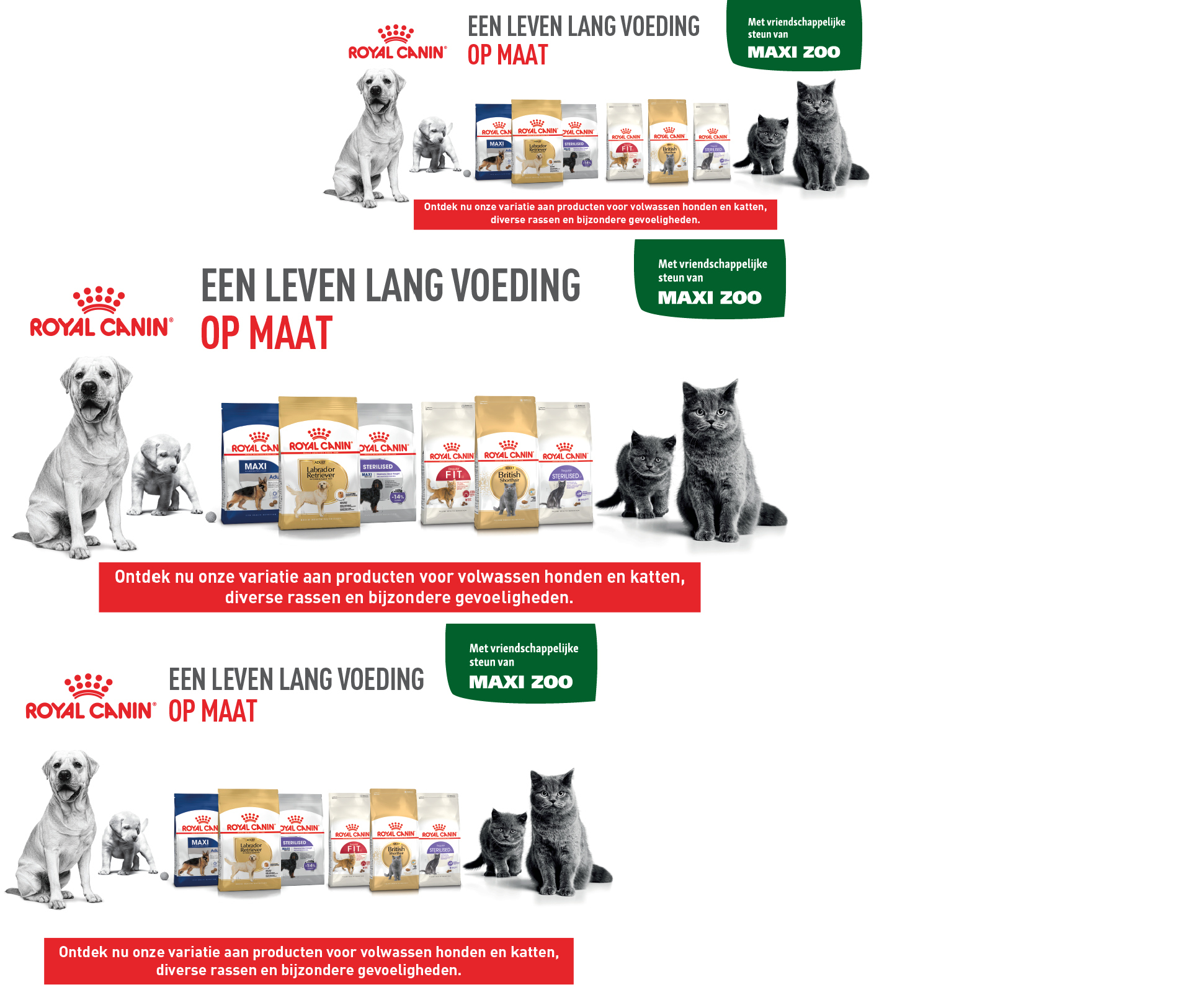 Royal Canin op maat gemaakte voeding voor honden en katten met vriendelijke steun van Maxi Zoo, diverse producten voor volwassen honden en katten.