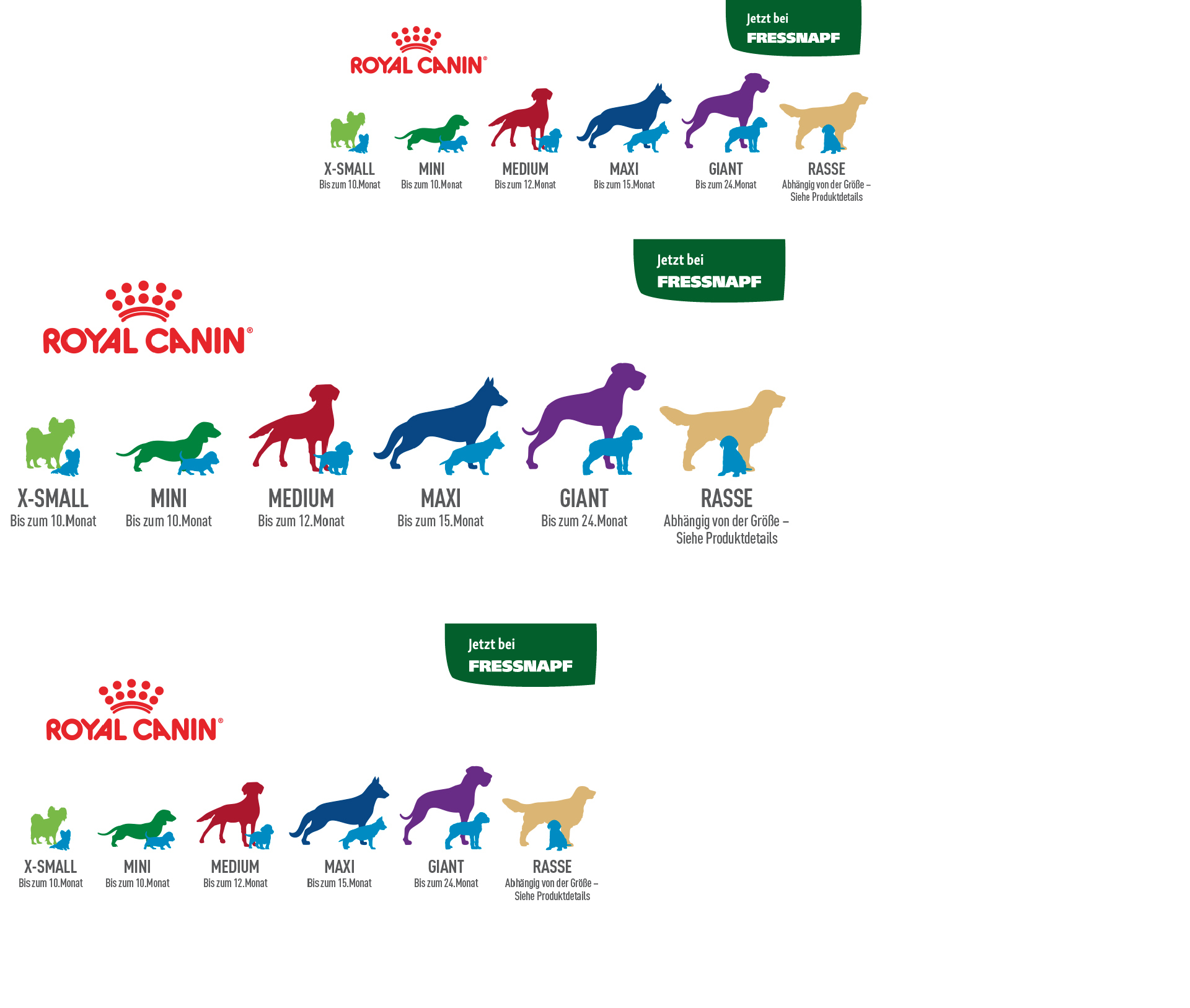 STAGE_Sprite_Growth_Dog