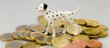 Kleine Dalmatiner-Figur steht auf einem Haufen verschiedener Euro-Münzen in Gold-, Silber- und Kupfertönen