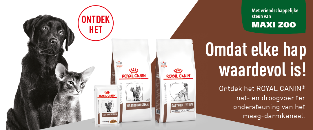 Omdat elke hap waardevol is!