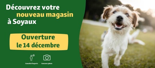 banner Opening FR Soyaux14.12