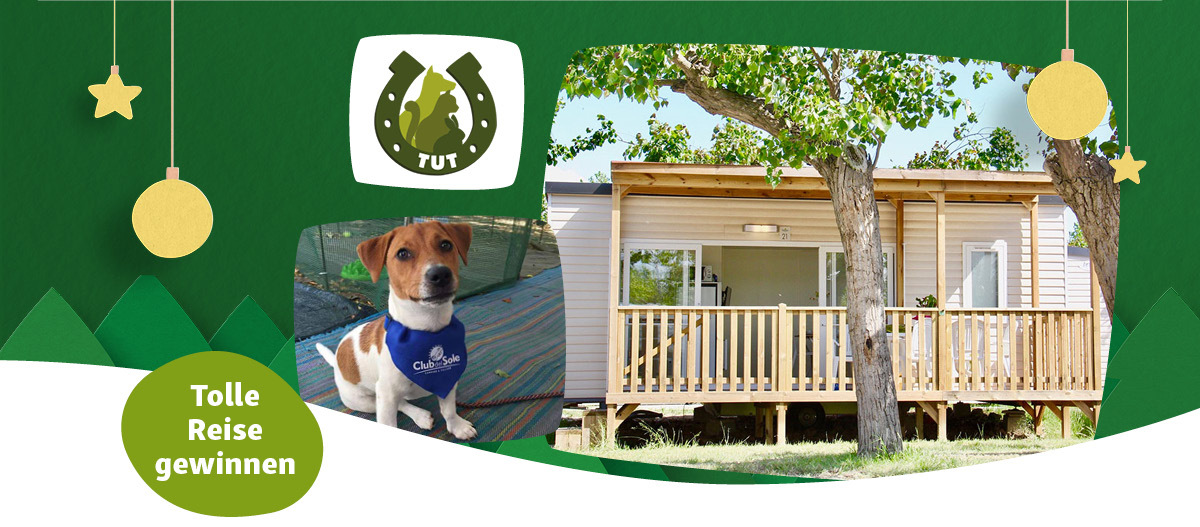 Hund mit blauem Halstuch vor Holz-Mobilheim im Grünen – Tolle Reise gewinnen mit TUT