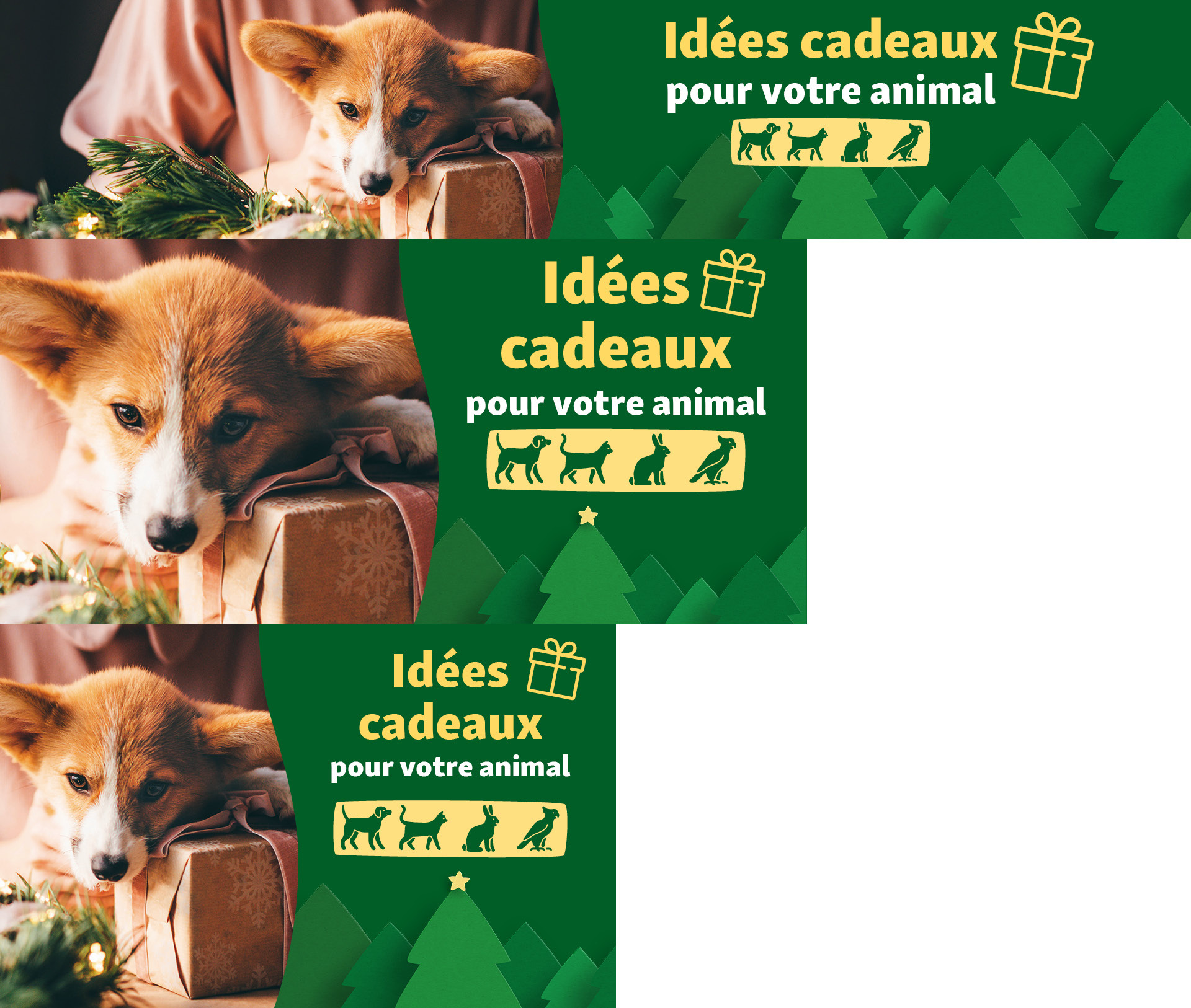 FR_KW44_Geschenkewelt_SG_OS.PLP_1 Idées cadeaux por votre animal