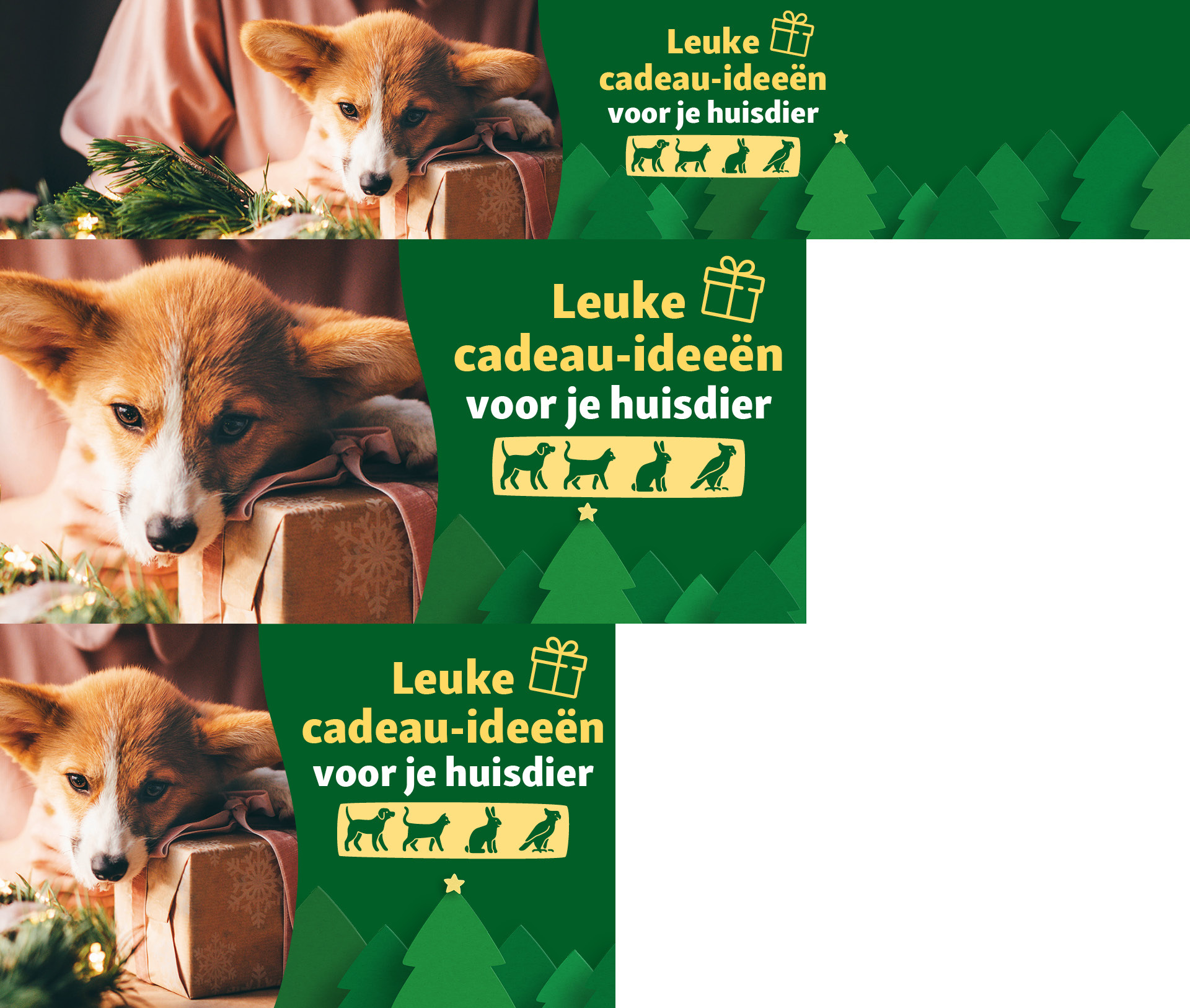NE_KW44_Geschenkewelt_SG_OS.Stage_1 Nette hond ligt op een ingepakt cadeau met kerstdecoraties, tekst: 'Leuke cadeau-ideeën voor je huisdier' - cadeau-ideeën voor huisdieren met pictogrammen van hond, kat, konijn en vogel