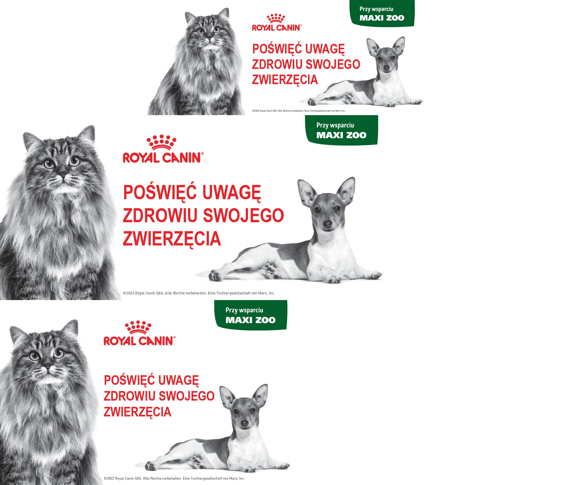 PLP_Sprite_CAT&DOG-PL Poswiec Uwage ZDROWIE SWOJEGO ZWIERZECIA