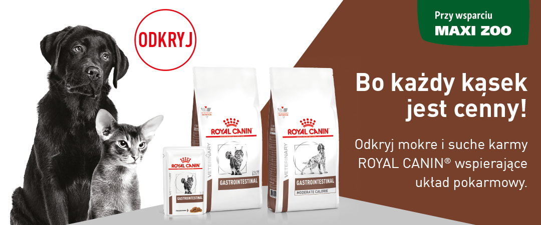 Bo kazdy kasek jest cenny