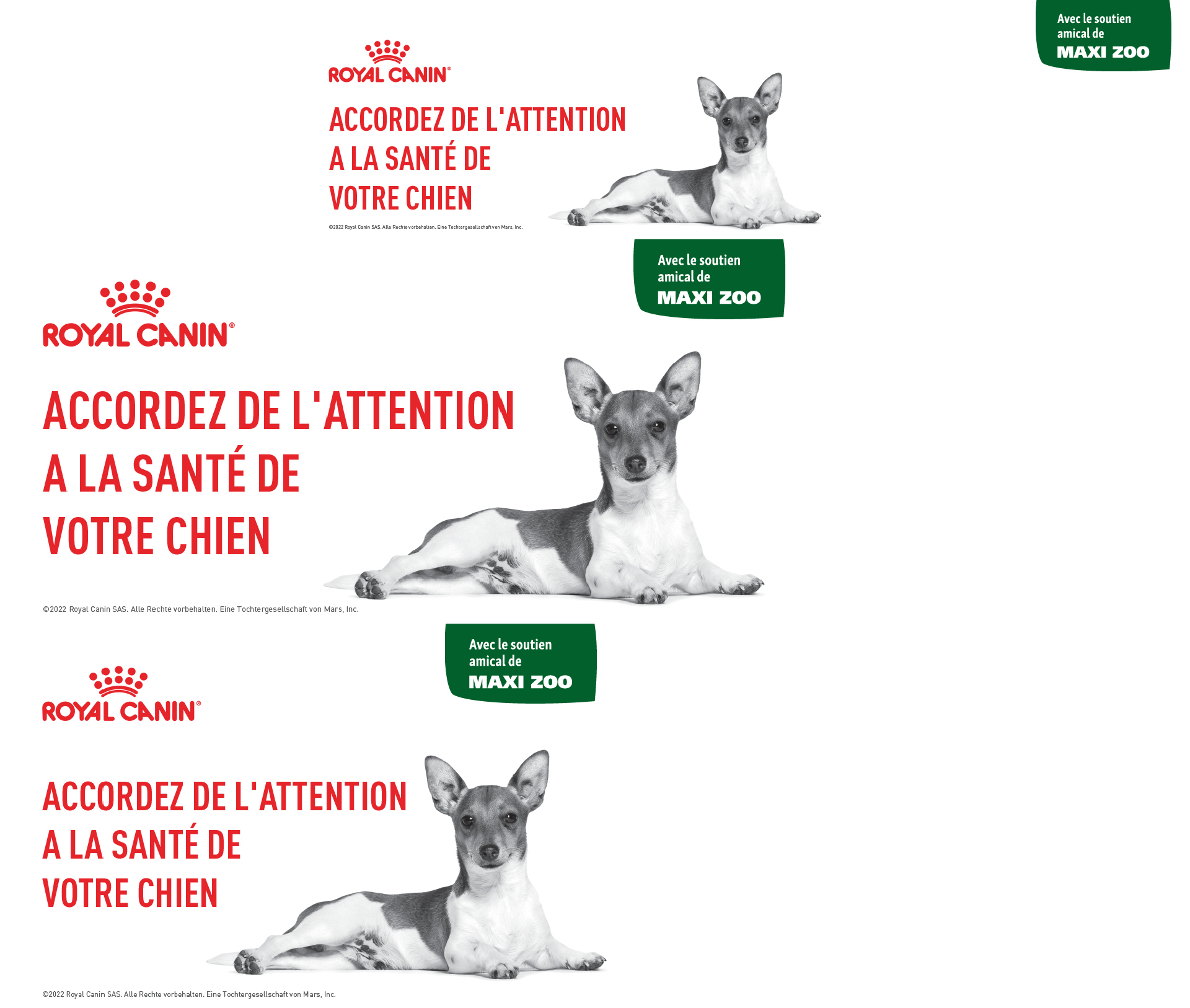 STAGE_Sprite_DOG_NEW Accordez de l´attention a la sante de votre Animal