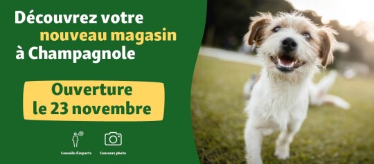 banner Opening FR Champagnole 23.11