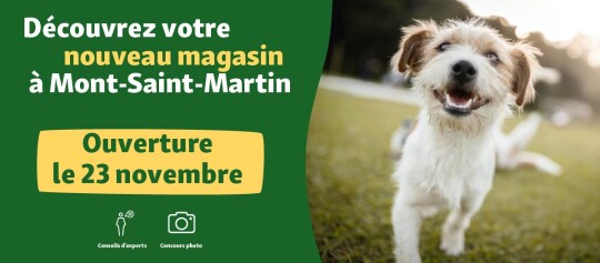 banner Opening FR Mont-Saint-Martin 23.11