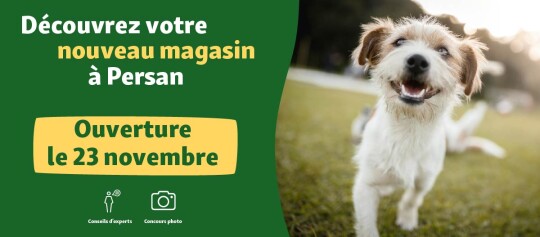 banner Opening FR Persan 23.11