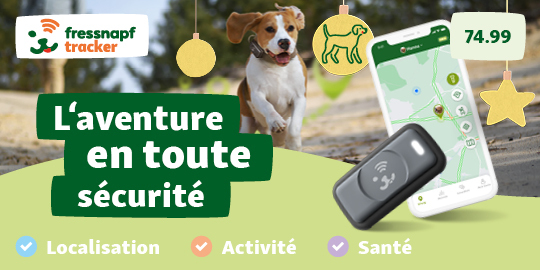 Fressnapf tracker pour chiens avec localisation, activité et suivi de santé, application mobile, prix 74,99