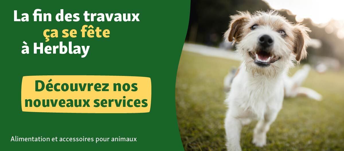 herblay-nvxservices Banner web Rebuilding herblay 23.11