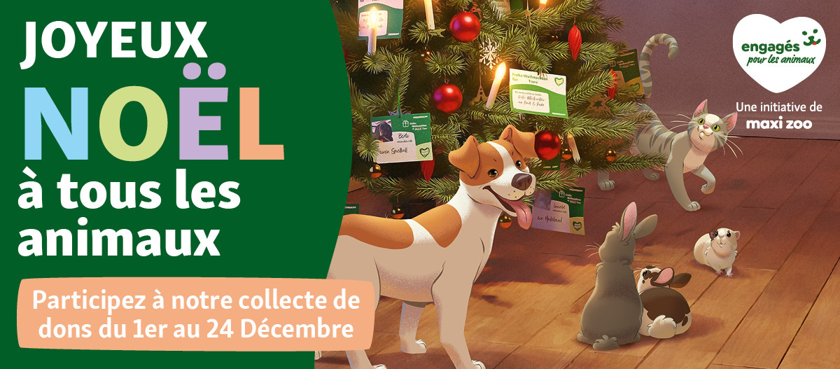 BE_FR_KW42_ShelterWishes_LB_OS.Fullsize1 Tierheimwünsche Belgien