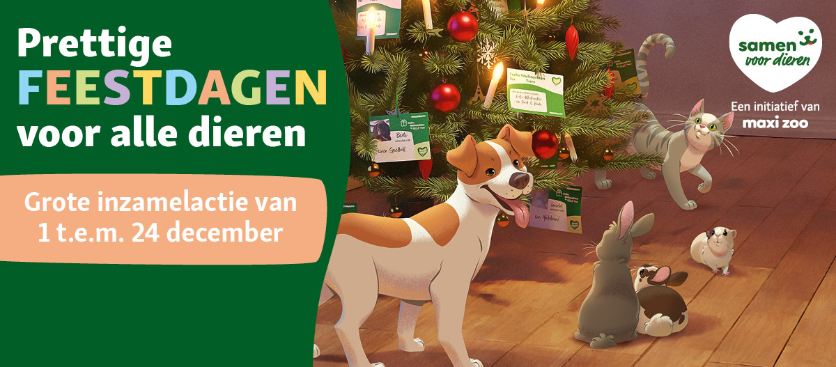 BE_KW42_ShelterWishes_LB_OS.Fullsize1 Tierheimwünsche Belgien