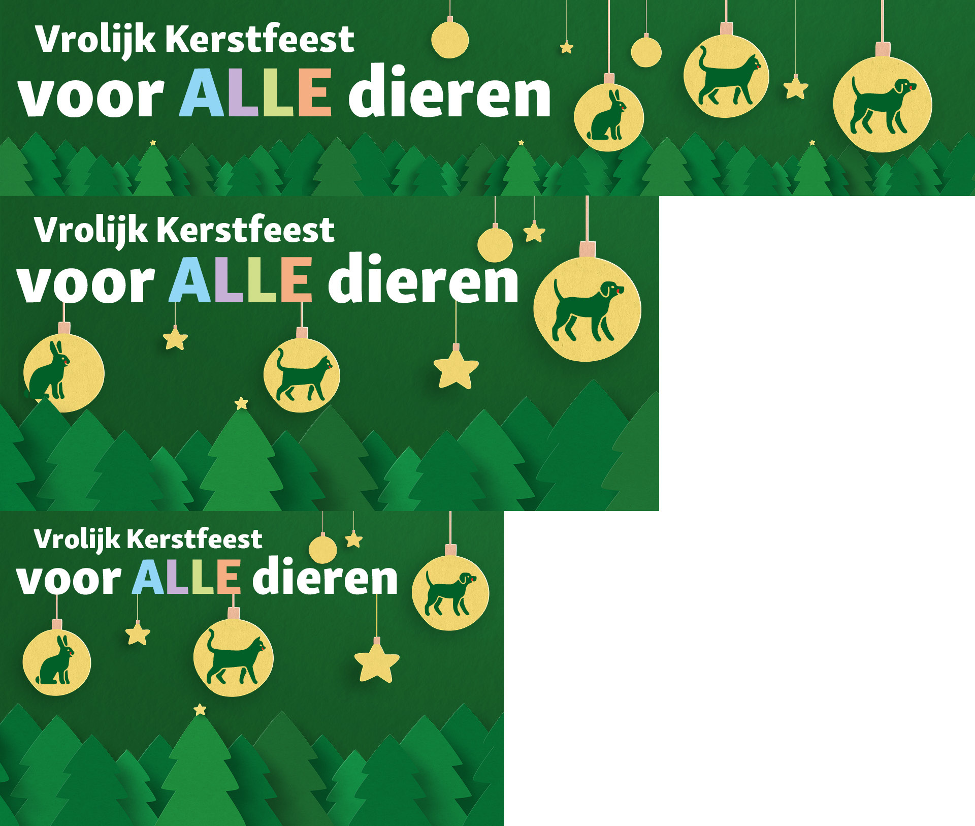 Christmas Campaign Belgium
