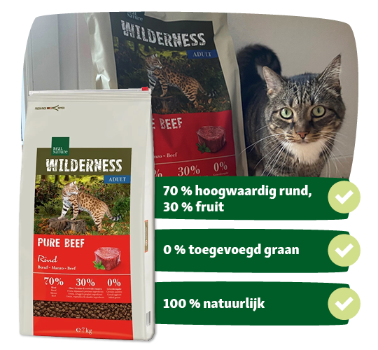 BE_KW51_EB_Kampagne_LW24 Wilderness Adult Pure Beef kattenvoer met 70% hoogwaardig rundvlees, 30% fruit en 0% toegevoegd graan naast een getijgerde kat