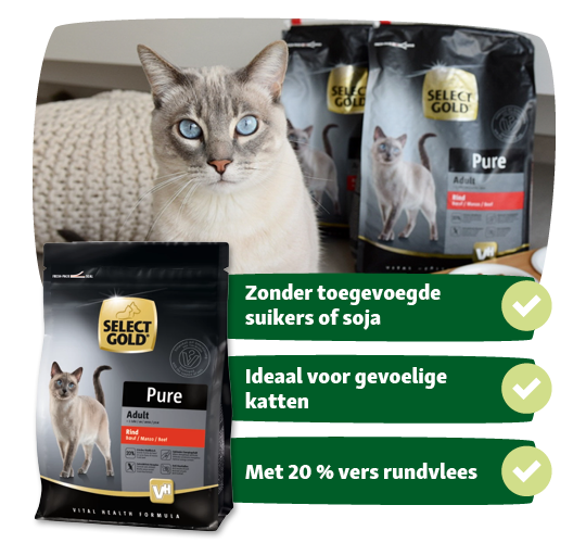 BE_KW51_EB_Kampagne_LW25 Siamese kat voor Select Gold Pure kattenvoer met 20% vers rundvlees, zonder toegevoegde suikers of soja, ideaal voor gevoelige katten