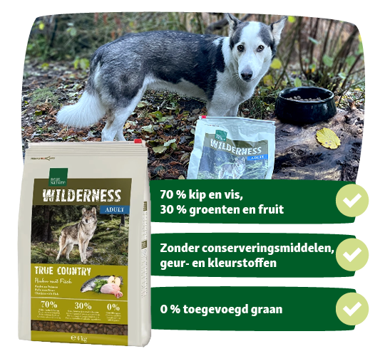 BE_KW51_EB_Kampagne_LW28 Hond staat in het bos naast Wilderness Adult hondenvoer met 70% kip en vis, 30% groenten en fruit, zonder conserveringsmiddelen en zonder toegevoegd graan.