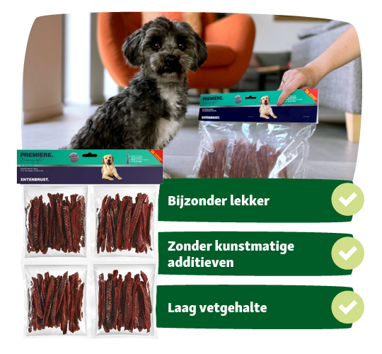 BE_KW51_EB_Kampagne_LW30 Kleine zwarte hond zit voor een verpakking PREMIERE eendenborst hondensnacks zonder kunstmatige additieven, bijzonder lekker en laag vetgehalte.