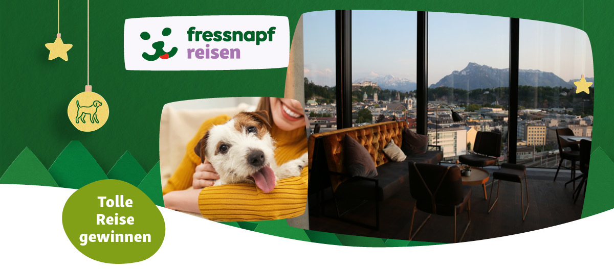 Glücklicher Hund mit Besitzerin und gemütliche Lounge mit Bergblick – fressnapf reisen Gewinnspiel für tolle Reisen