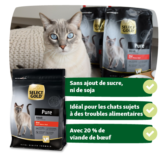 Chat siamois devant les sacs de nourriture pour chats Select Gold Pure Adult avec 20 % de viande de bœuf, sans sucre ni soja, idéal pour les chats sensibles