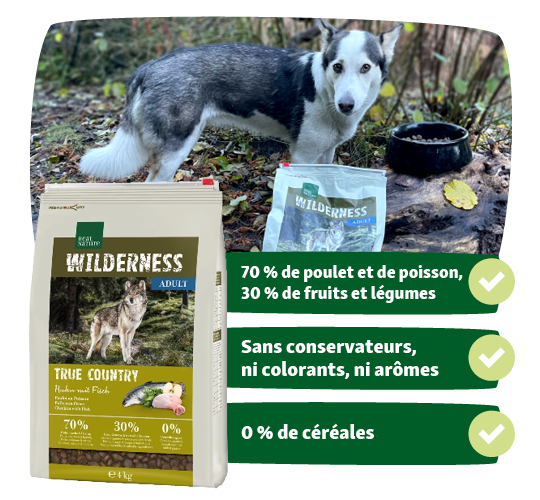 Nourriture pour chien Wilderness Adult avec 70% de poulet et poisson, 30% de fruits et légumes, sans conservateurs, colorants ni céréales, à côté d'un chien en forêt