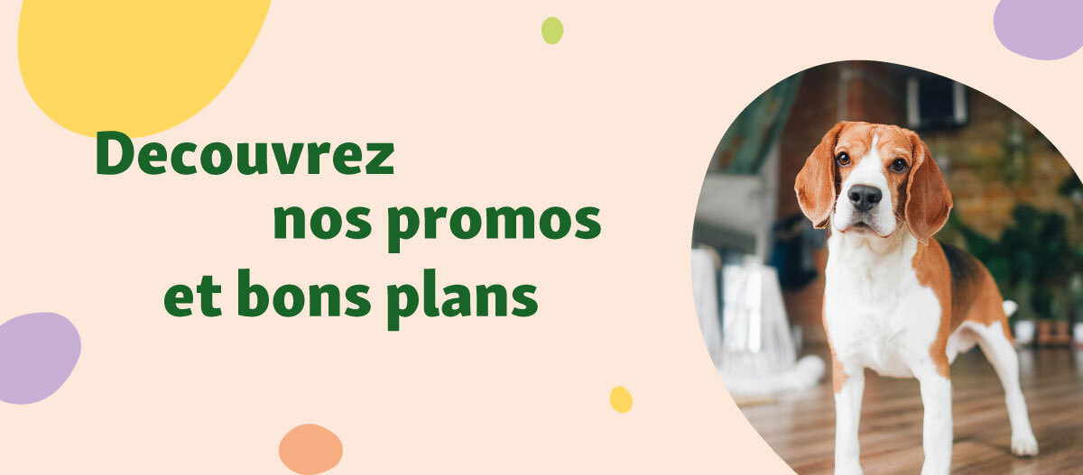 banniere-page-inflation-newsletter inscription newsletter bons plans et promos