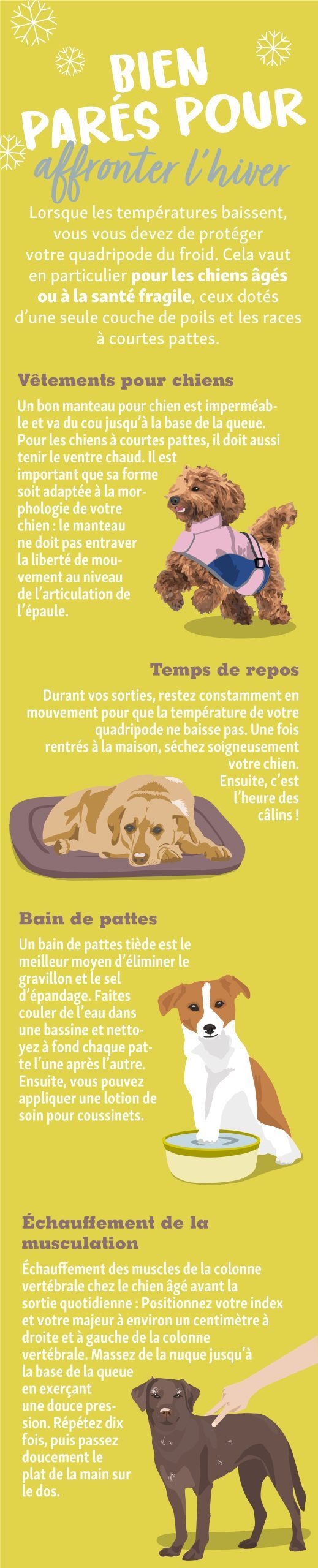 0123_FR_APP_graphique_bien_pares_pour_affronter_lhiver