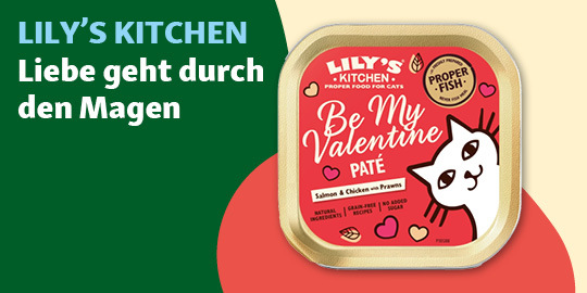 DE_KW04_Valentinstag_LW_OS.6er_3 Verpackung von Lily's Kitchen Katzenfutter Be My Valentine Paté mit Lachs, Huhn und Garnelen, natürlichen Zutaten, getreidefrei, Valentinstagsthema