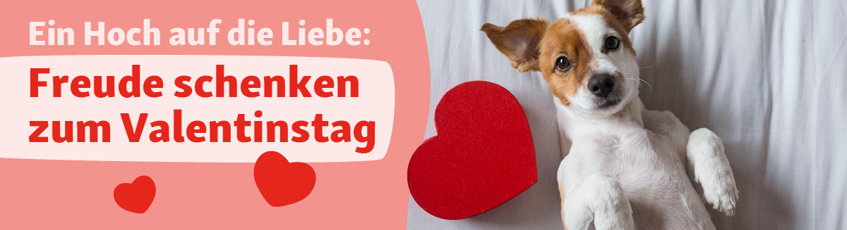 DE_KW04_Valentinstag_LW_OS.Fullfla_1 Valentinstag