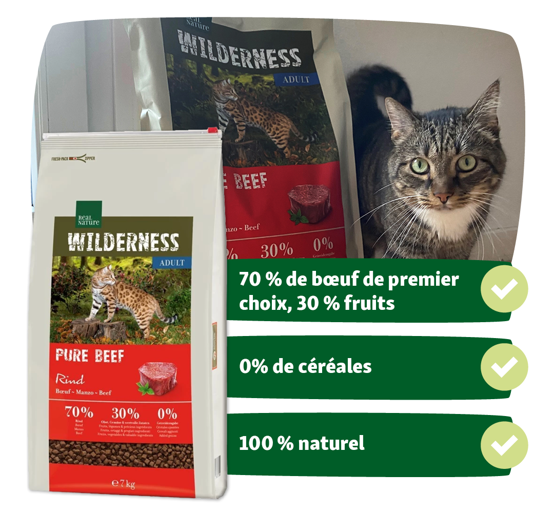 Croquettes Real Nature Wilderness Pure Beef avec 70% de bœuf, 30% de fruits, 0% de céréales, à côté d’un chat tigré