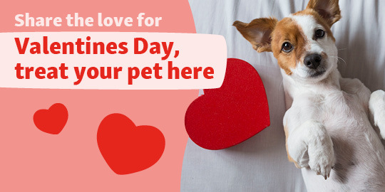 IE_KW04_Valentinstag_LW_OS.6er_1