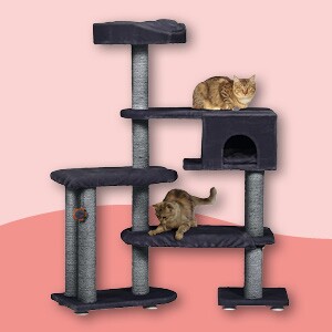Mehrstöckiger Katzenbaum mit zwei Katzen, Kratzpfosten und Versteck, ideal zum Spielen und Ausruhen